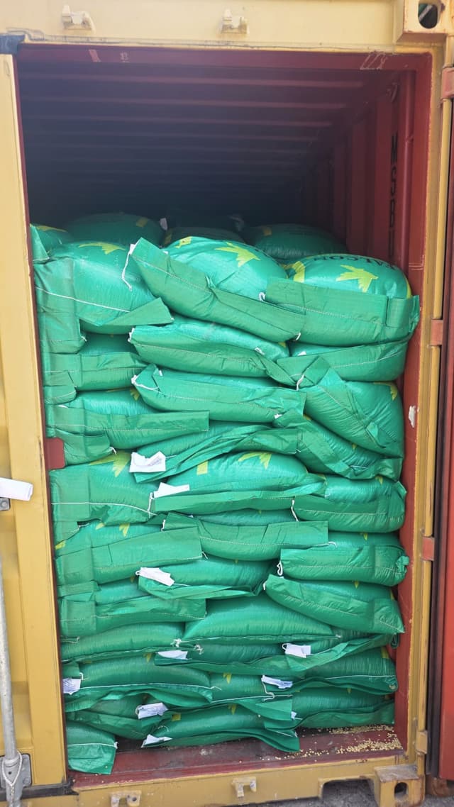 The open door of a container packed with sacked cargo